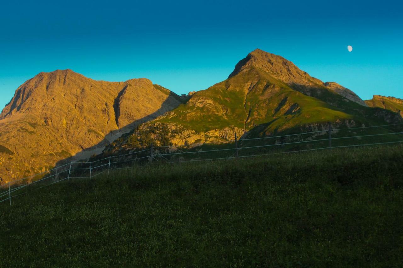 Alpenappartement Bergkoenig Warth  外观 照片